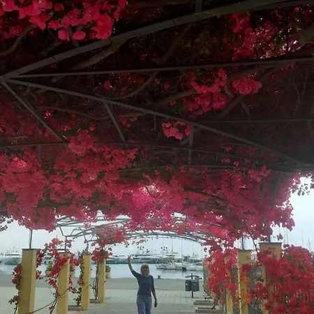 Apartment Idyllische Dachwohnung Am Hafen Von Porto Maurizio Imperia