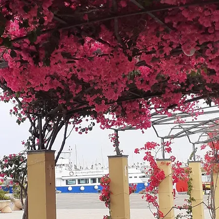 Idyllische Dachwohnung Am Hafen Von Porto Maurizio Apartment